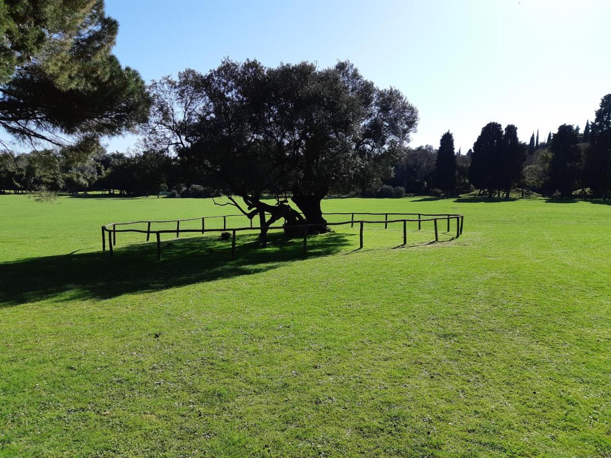 Villa Kascuni بولا المظهر الخارجي الصورة